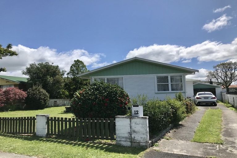 Photo of property in 12 Rosalind Street, Deanwell, Hamilton, 3206