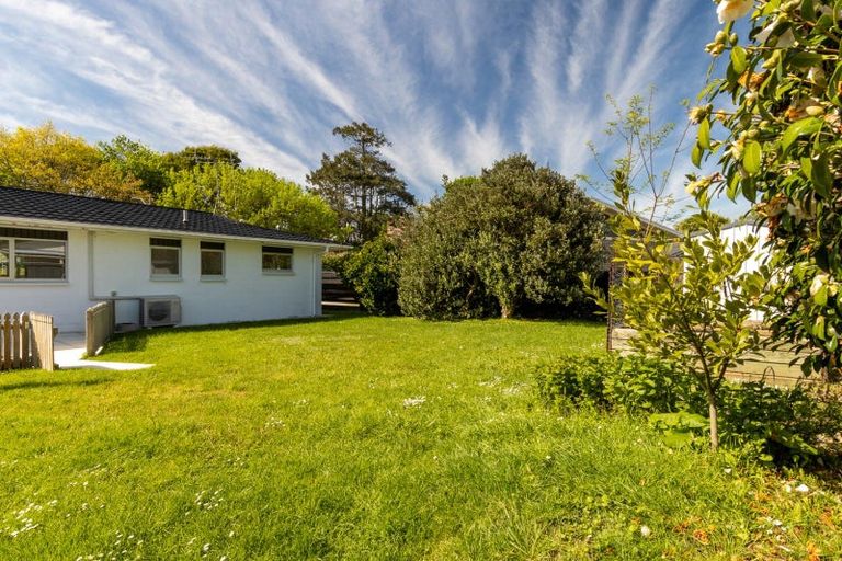 Photo of property in 19 Carlyle Street, Leamington, Cambridge, 3432