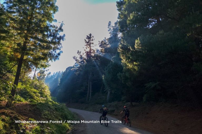 Photo of property in 3 Jameson Avenue, Fenton Park, Rotorua, 3010