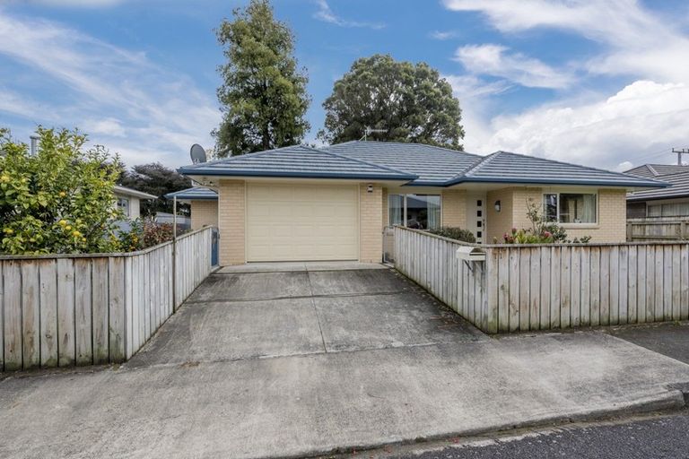 Photo of property in 71 Rugby Street, Levin, 5510