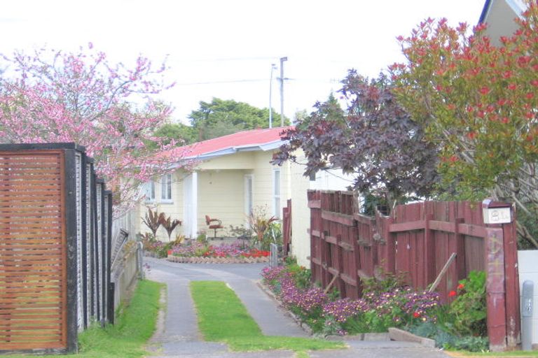 Photo of property in 84 Links Avenue, Mount Maunganui, 3116
