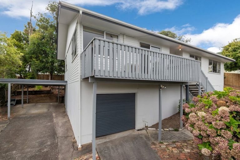 Photo of property in 51 Salamanca Road, Sunnynook, Auckland, 0620