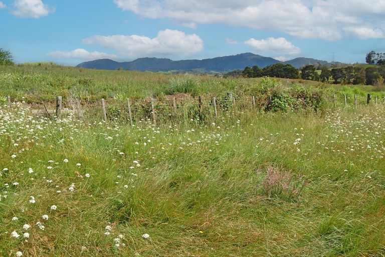 Photo of property in 17 Ranganui Road, Kaiwaka, 0573