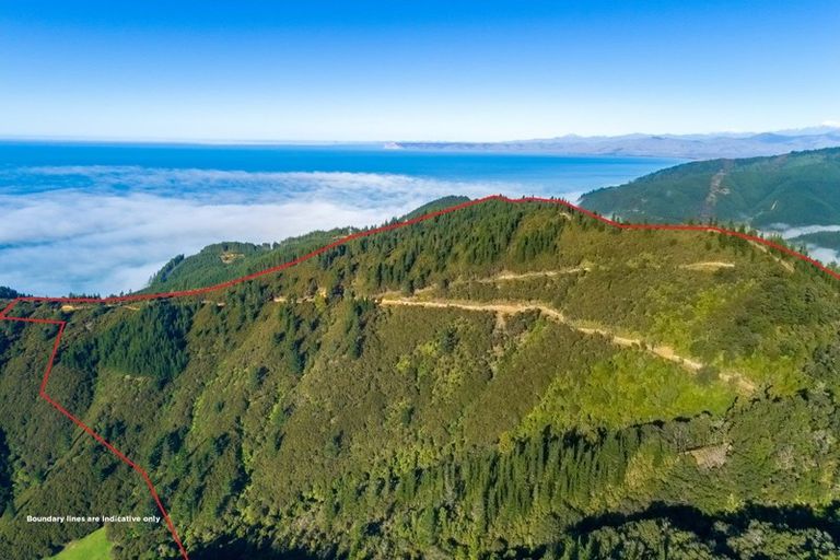 Photo of property in 2464 Port Underwood Road, Port Underwood, Picton, 7281