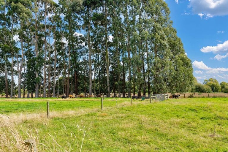 Photo of property in 411 Heywards Road, Clarkville, Kaiapoi, 7692