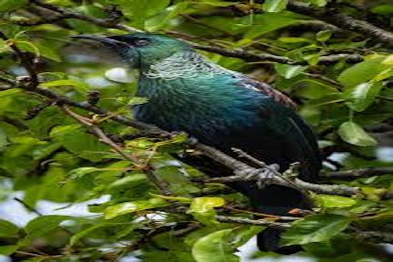 Photo of property in 3 Ardal Grove, Tirohanga, Lower Hutt, 5010