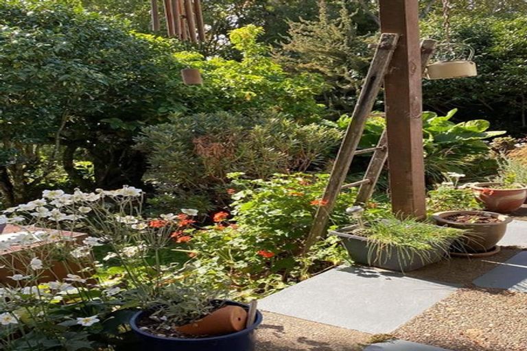 Photo of property in 350 Te Tahi Road, Puketotara, Te Awamutu, 3876