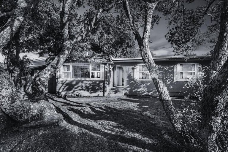 Photo of property in 77 Glen Marine Parade, Glendene, Auckland, 0602