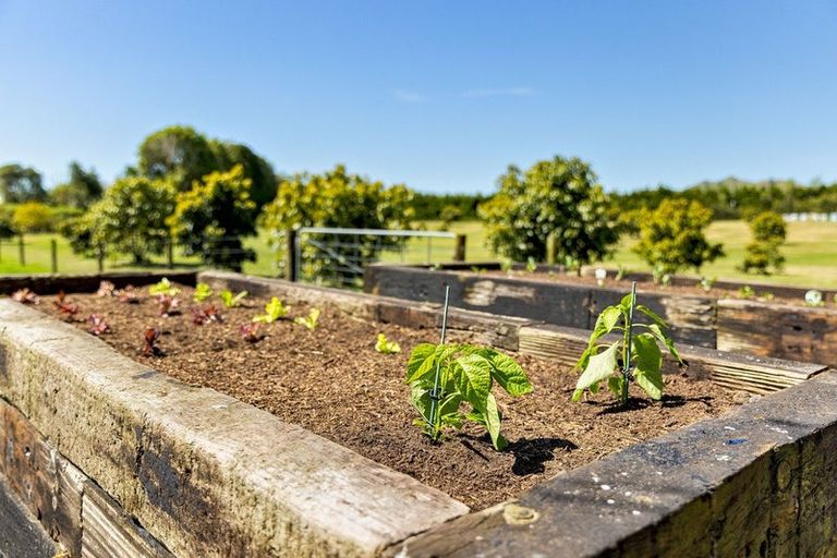 Photo of property in 390 Hereford Road, Oropi, Tauranga, 3173