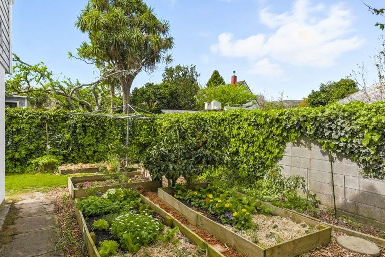 Photo of property in 335 Te Moana Road, Waikanae, 5036