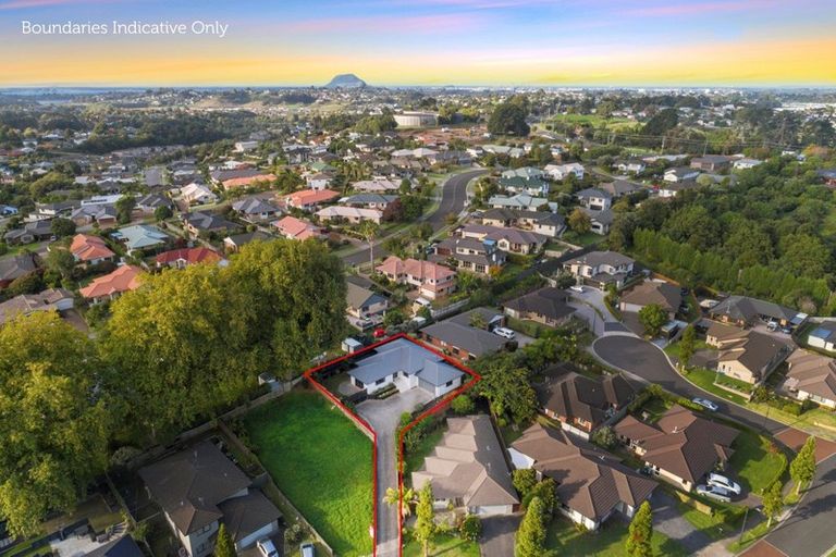 Photo of property in 13 Edwin Grove, Bethlehem, Tauranga, 3110