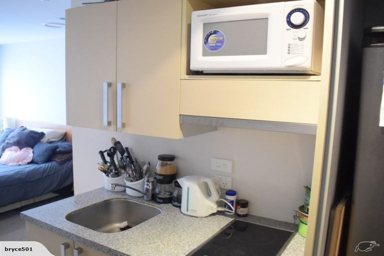 Photo of property in Dual Apartments, 108/142 Vivian Street, Te Aro, Wellington, 6011