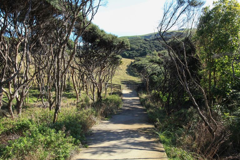 Photo of property in 1638 Whaanga Road, Raglan, 3296