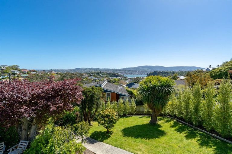 Photo of property in 53 Spottiswoode Street, Tainui, Dunedin, 9013