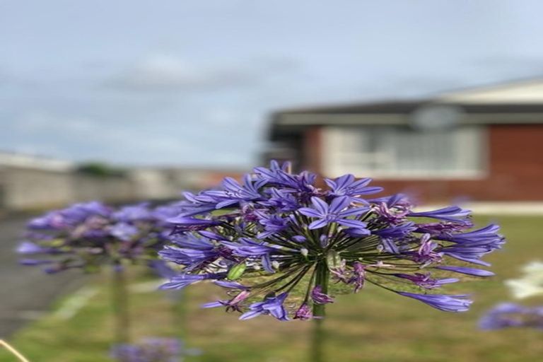 Photo of property in 2/126 Astley Avenue, New Lynn, Auckland, 0600