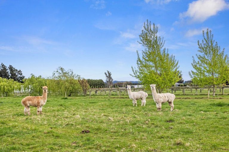 Photo of property in 465 Broad Road, Sefton, Rangiora, 7477