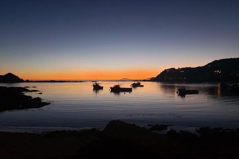 Photo of property in 9/20 Trent Street, Island Bay, Wellington, 6023