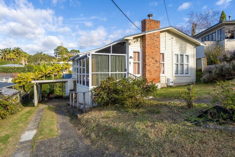 Photo of property in 74 Matipo Road, Mairangi Bay, Auckland, 0630
