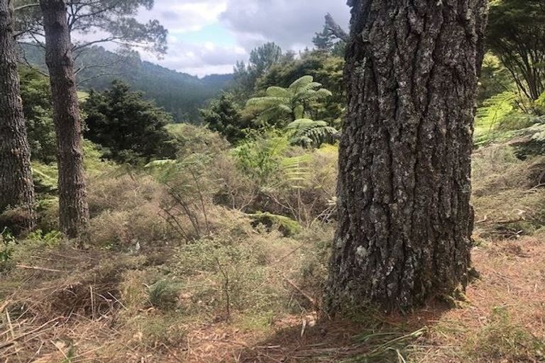 Photo of property in 205 Kaimarama Road, Kaimarama, Whitianga, 3591