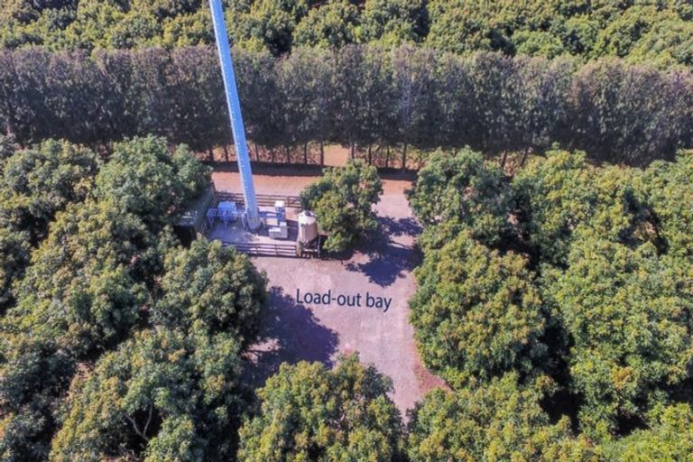 Photo of property in 50 Wright Road, Dairy Flat, Albany, 0794