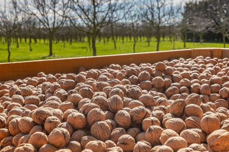 Photo of property in 973 Hoskyns Road, West Melton, Christchurch, 7671