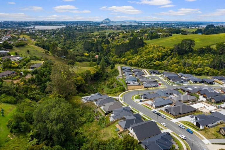 Photo of property in 79 Adler Drive, Ohauiti, Tauranga, 3112