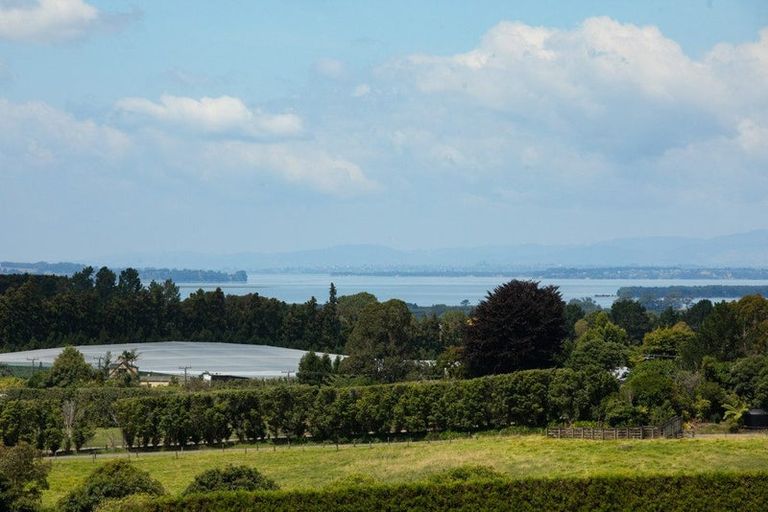 Photo of property in 251 Woodland Road, Tahawai, Katikati, 3170