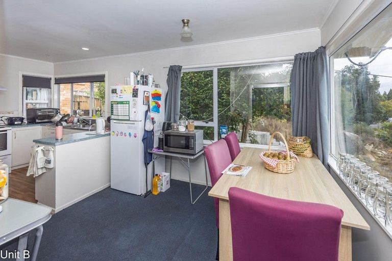 Photo of property in 103 Aurora Terrace, Hillcrest, Hamilton, 3216