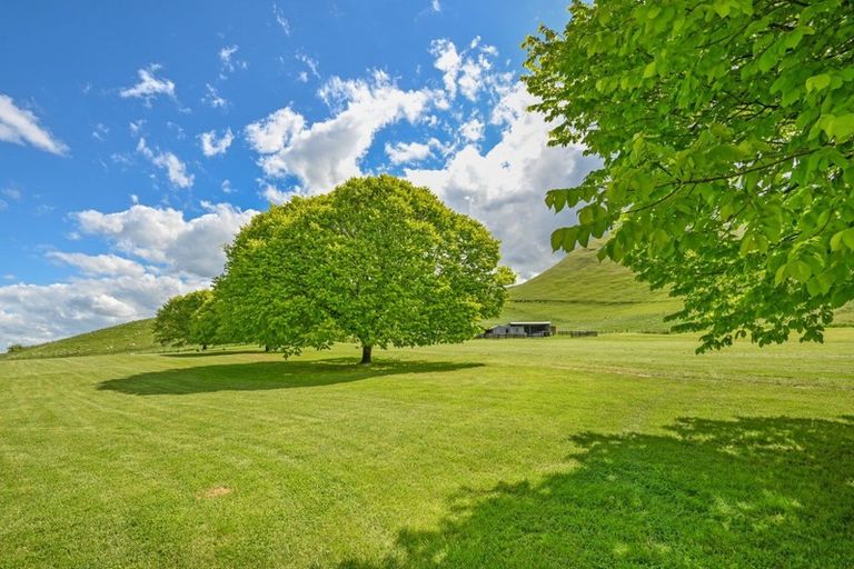 Photo of property in 1183 Te Aute Trust Road, Poukawa, Hastings, 4178