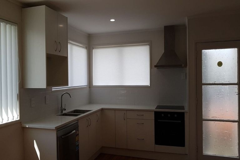 Photo of property in 46a Goodwin Drive, Rosehill, Papakura, 2113