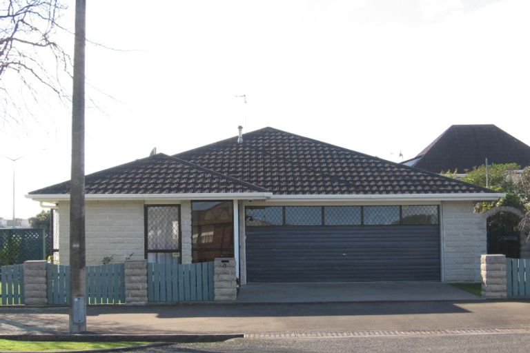 Photo of property in 1 Mcarthur Street, Terrace End, Palmerston North, 4410