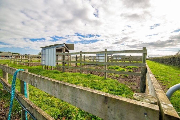Photo of property in 670 Kaipaki Road, Ohaupo, 3881