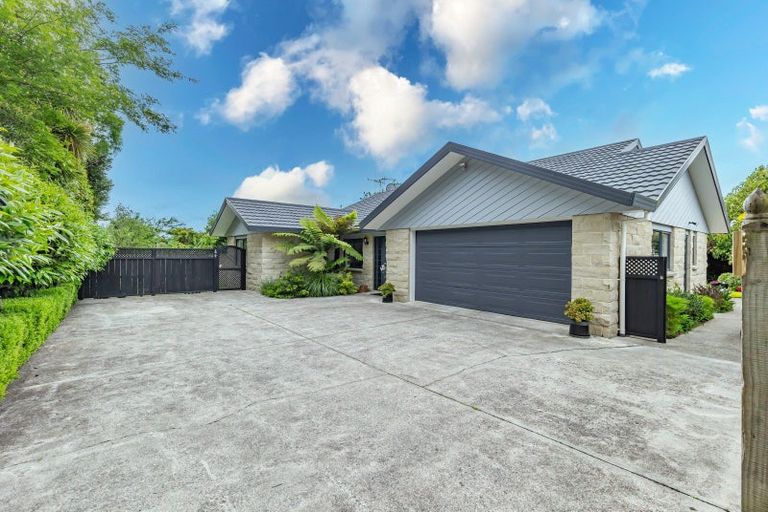 Photo of property in 87 Macarthur Street, Levin, 5510
