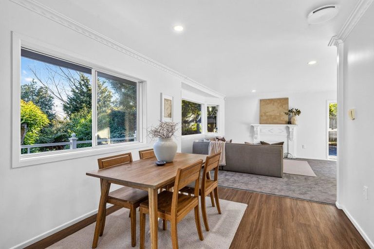 Photo of property in 17 Macfarlane Street, Hamilton East, Hamilton, 3216