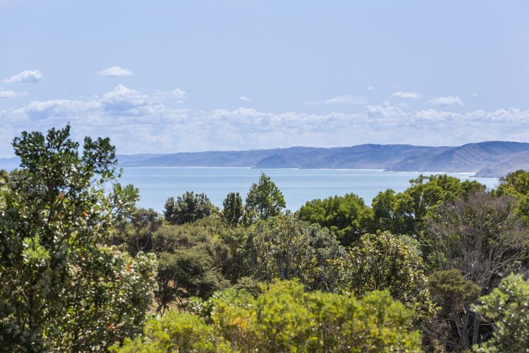 Photo of property in 6 Upper Wainui Road, Raglan, 3297