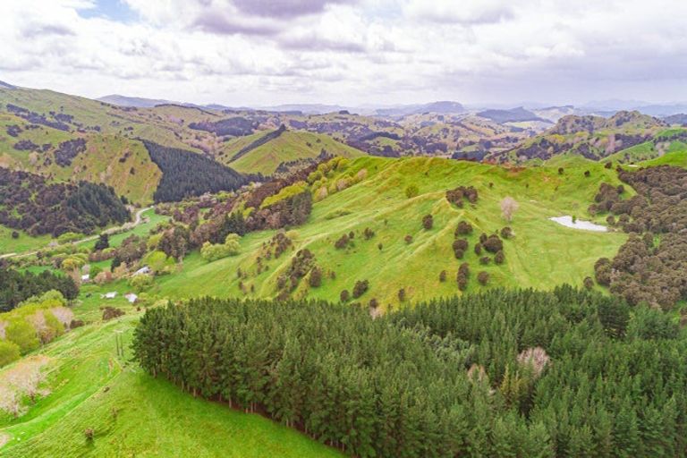 Photo of property in Castlepoint Road, Mangapakeha, Masterton, 5889