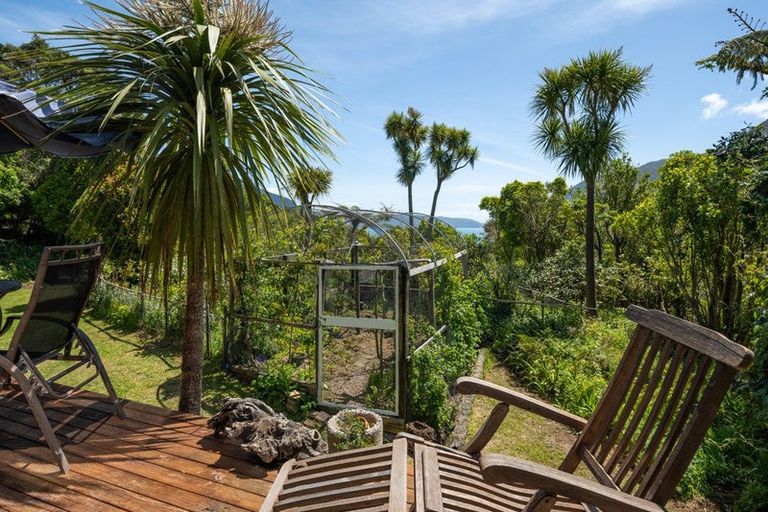 Photo of property in 565 Anakoha Road, Anakoha, Marlborough Sounds, 7284