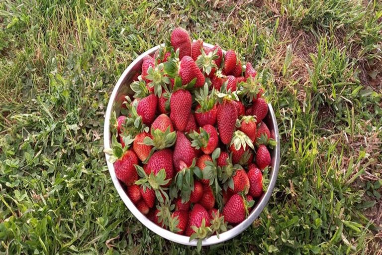 Photo of property in 155 Old Taupo Road, Arapuni, Putaruru, 3481