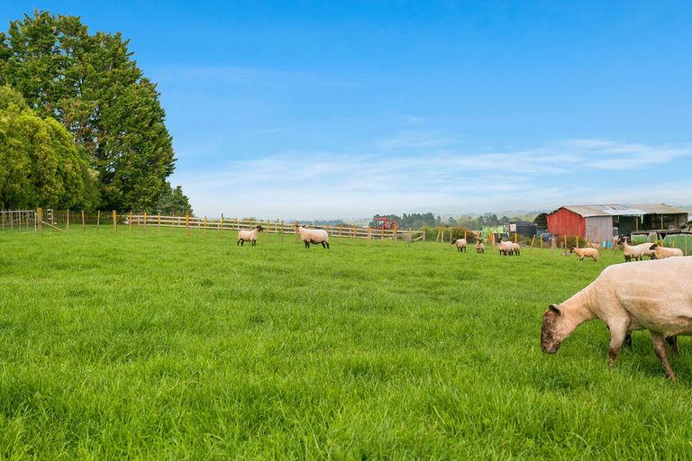 Photo of property in 1/3116 Ohaupo Road, Glenview, Hamilton, 3282