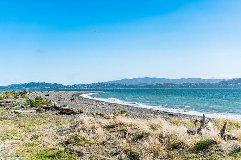 Photo of property in 26 Kauri Street, Eastbourne, Lower Hutt, 5013