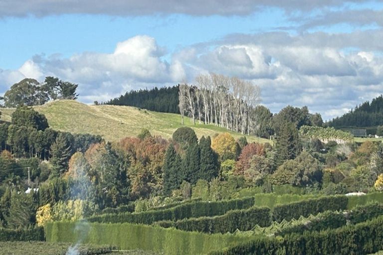 Photo of property in 55d Oliver Road, Minden, Tauranga, 3171