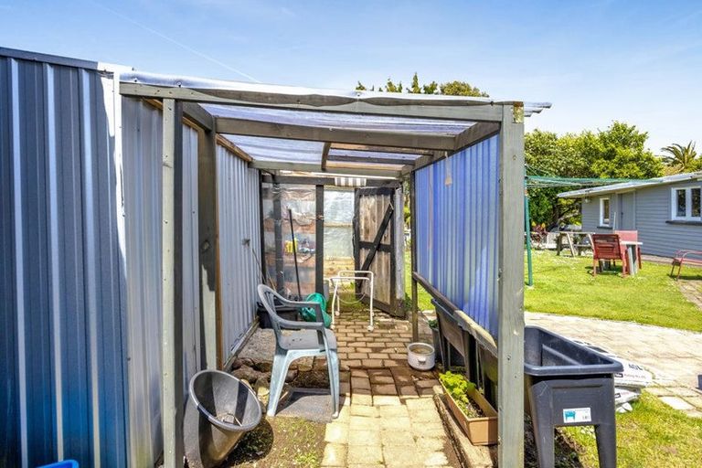 Photo of property in 17 Antonio Street, Stratford, 4332