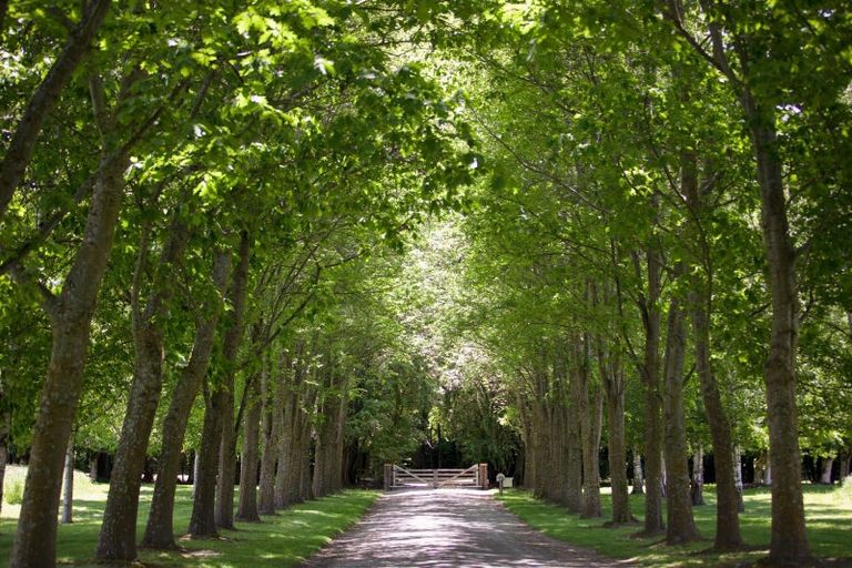 Photo of property in 8/188 Domain Road, Speargrass Flat, Queenstown, 9371