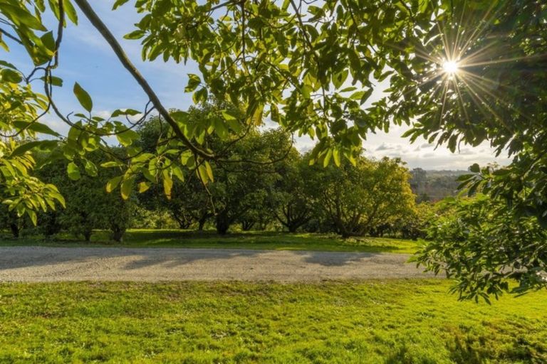 Photo of property in 37 Munro Road, Minden, Tauranga, 3179