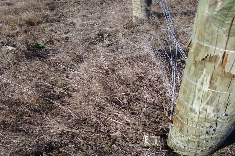 Photo of property in 14 Hardacre Place, Omarama, 9412