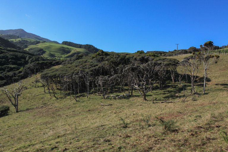 Photo of property in 1638 Whaanga Road, Raglan, 3296