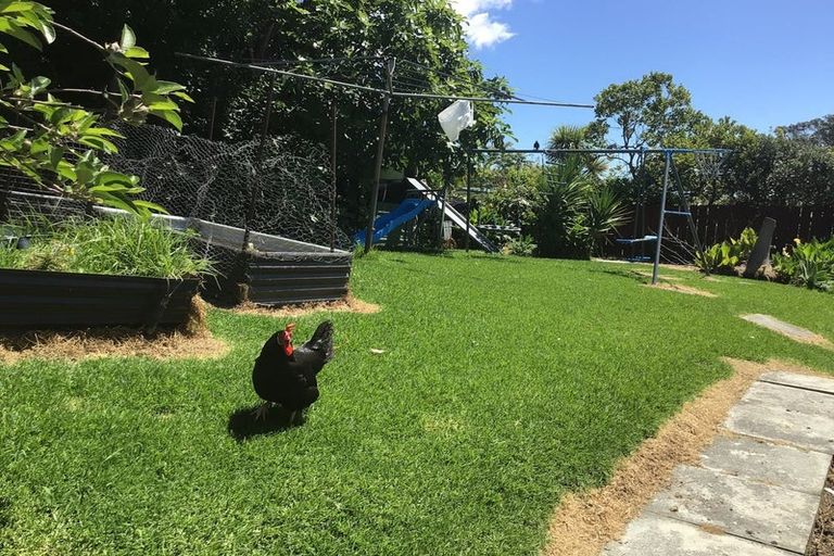 Photo of property in 16 Valhalla Drive, Beach Haven, Auckland, 0626