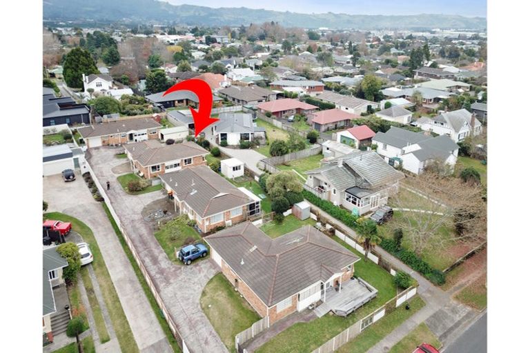 Photo of property in 81c Boucher Avenue, Te Puke, 3119