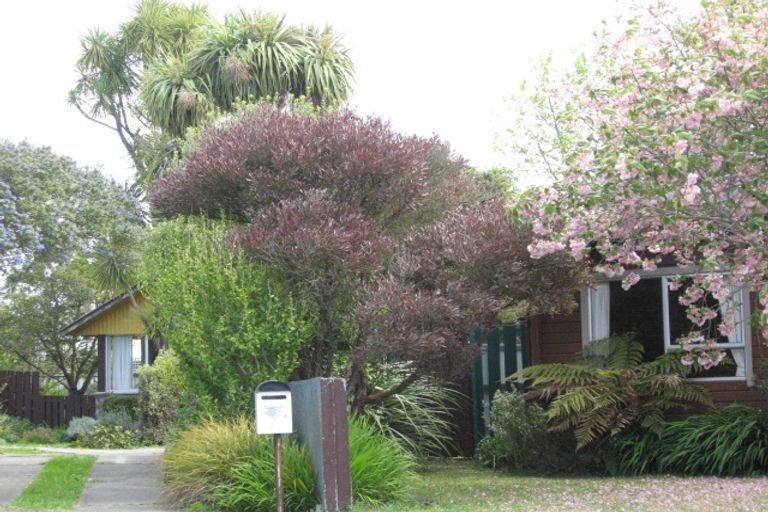 Photo of property in 7 Simon Place, Woodend, 7610