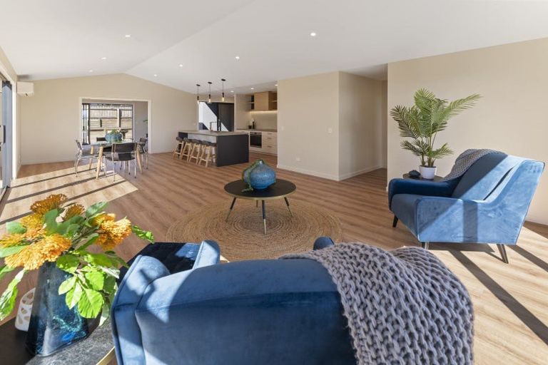 Photo of property in 19 Sabine Drive, Richmond, 7020